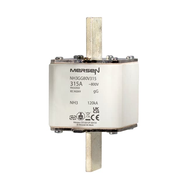 T1204182 Part Image. Manufactured by Mersen.