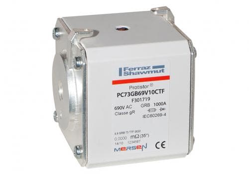 F301719 Part Image. Manufactured by Mersen.