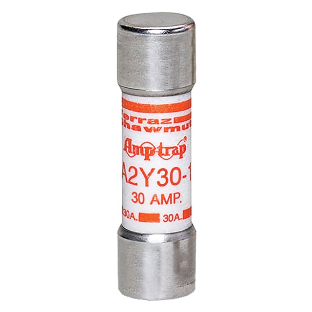 A2Y30-1 Part Image. Manufactured by Mersen.