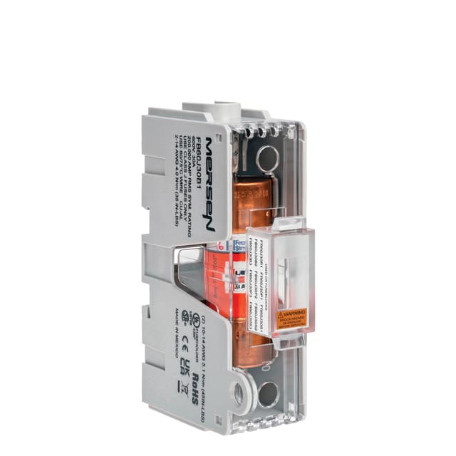 FB60J30B1 Part Image. Manufactured by Mersen.