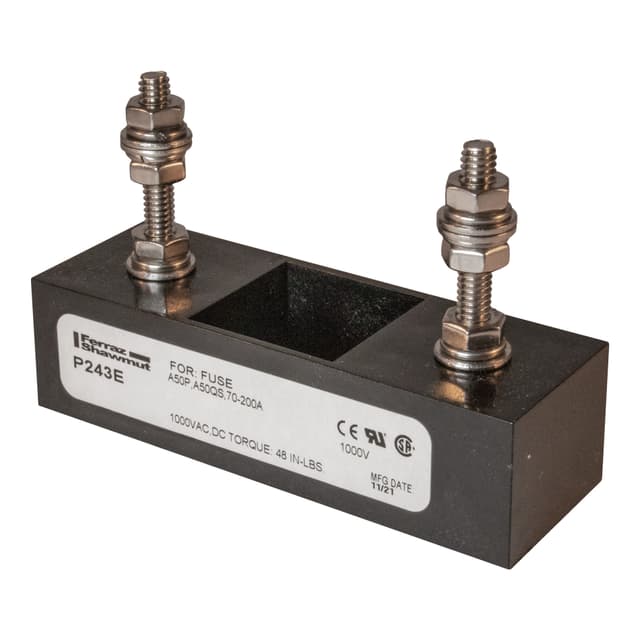 P243E Part Image. Manufactured by Mersen.