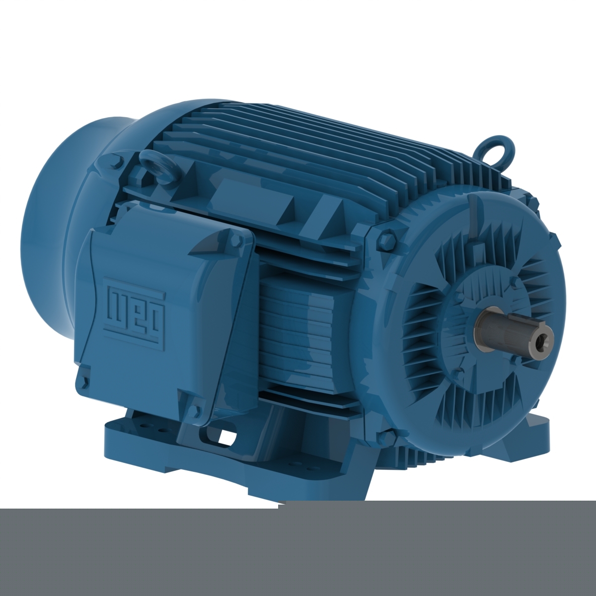 04009ET3E365T-W22 Part Image. Manufactured by WEG.