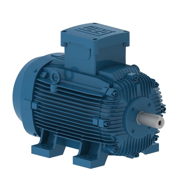 13218083 Part Image. Manufactured by WEG.