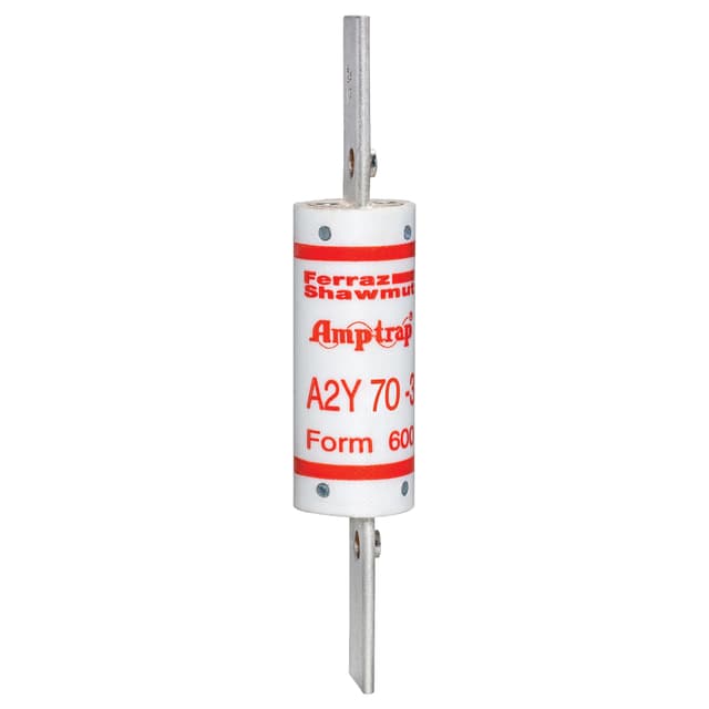 A2Y70-3 Part Image. Manufactured by Mersen.