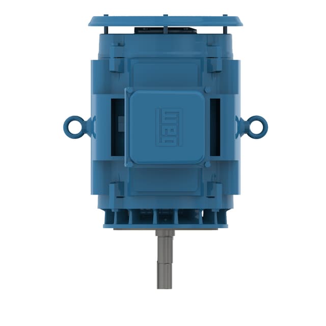 11615873 Part Image. Manufactured by WEG.