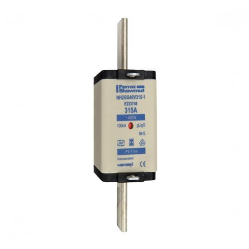 E223748 Part Image. Manufactured by Mersen.